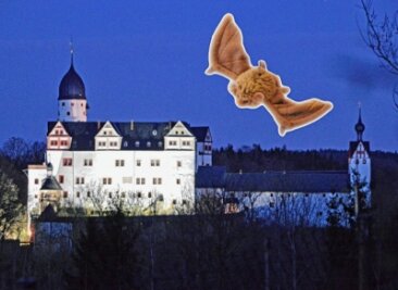 Geisterführung für Kinder - Rund um die Fledermaus geht es bei einer Führung an Halloween auf Schloss Rochsburg. 