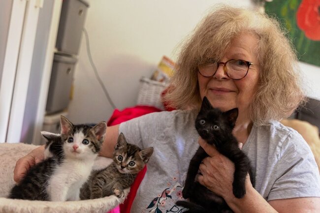 Geld und Personal fehlen: Tierheim in Treuen muss schließen - Vereinsmitglied Sigrid Wenzel päppelt vier Katzenbabys auf, die in wenigen Tagen vom Tierheim Unterheinsdorf aufgenommen, versorgt und finanziert werden.