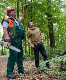 Geldspritze für Projektidee - Michael Heinrich (l.) und Marco Metzler begutachten Bäume an der Waldbühne. 