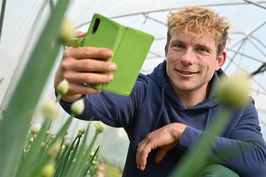 Gemüseanbau ist langweilig? Veganer Landwirt aus Breitenborn zeigt mit Reels das Gegenteil - Mit dem Smartphone dreht Daniel Hausmann vom Biohof Hausmann in Breitenborn Videos für Instagram und Facebook.