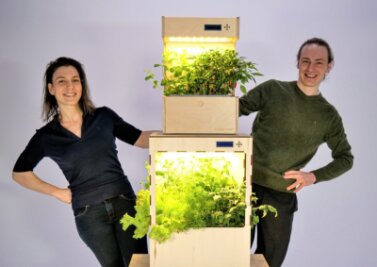 Gemüsegarten ohne Erde: Chemnitzerin gründet Start-up in der Schweiz - Jenny Held und Alexander Smirnow mit ihrem automatischen Garten. Das untere Modell haben sie selbst in Handarbeit hergestellt. Das obere soll nun in größerer Stückzahl produziert werden. 