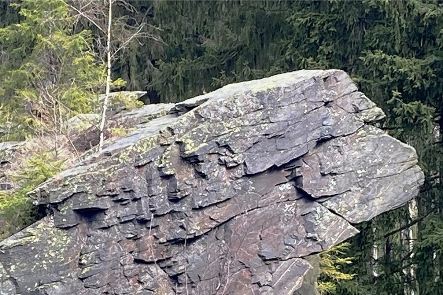 Geologische Gesellschaft kürt Wendelstein bei Grünbach zum "Geotop des Monats" - Der bekannteste Einzelfelsen am Wendelstein ist der sogenannte Löwenkopf. 