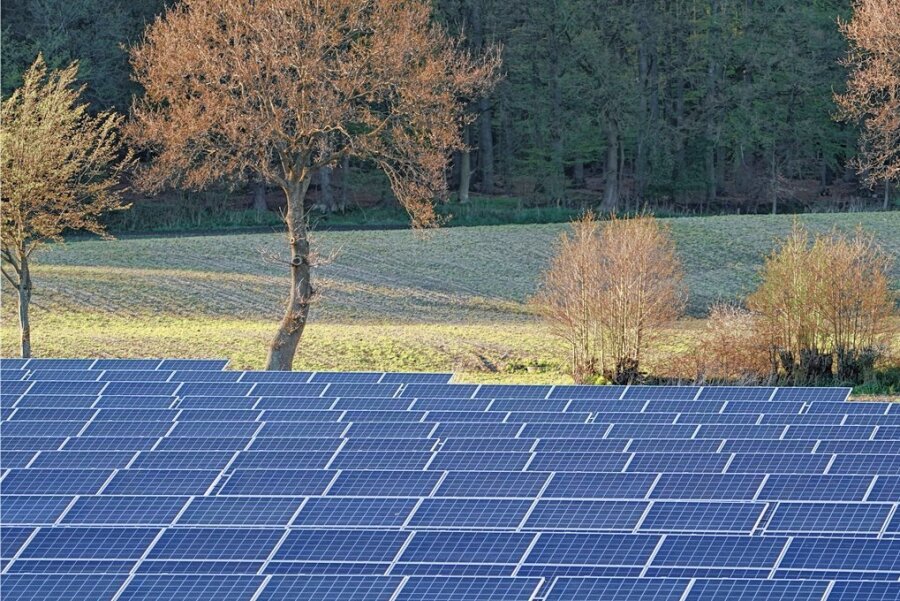 Geplanter Solarpark: Einwohner von Schönbrunn äußern Kritik - Die Schönbrunner kritisieren zum Beispiel, dass durch Solaranlagen Ackerland wegfällt.