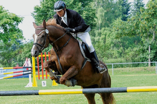 Gespanne meistern Wettstreit - Burkhard Sieber vom RFV Seifersdorf war einer von exakt 130 Pferdesportlern, die am traditionellen Reit-, Spring- und Fahrturnier in Weißbach teilgenommen haben.