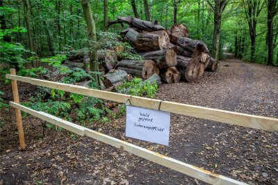 Gesperrter Wald in Lichtenwalde: Gelingt die Einigung in letzter Minute? - Die provisorischen Schilder im Wald von Lichtenwalde wurden inzwischen durch stabile Hinweisschilder aus Holz ersetzt.