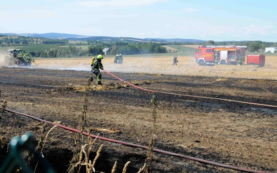 Getreidefeld in Brand geraten - Rund 800 Quadratmeter standen in Flammen.