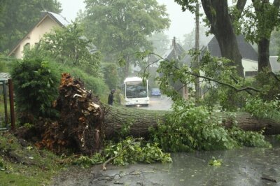 In Grünberg stürzten mehrere Bäume um und blockierten Straßen