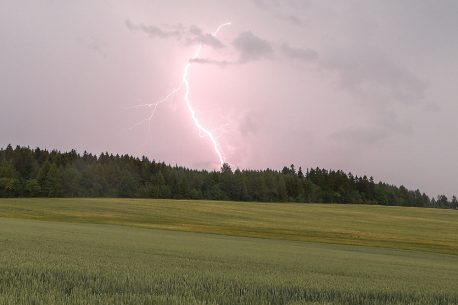 Gewitter, Starkregen und Sturm: Das erwartet Sachsen - (Symbolbild)