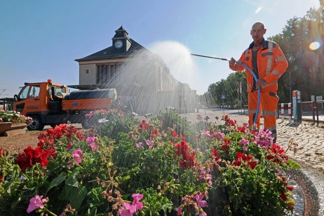Olaf Löbel vom Bauhof gießt während der extremen Dürre die Blumen im Park gegenüber vom Glauchauer Bahnhof regelmäßig und sorgt damit dafür, dass die Blütenpracht erhalten bleibt. 
