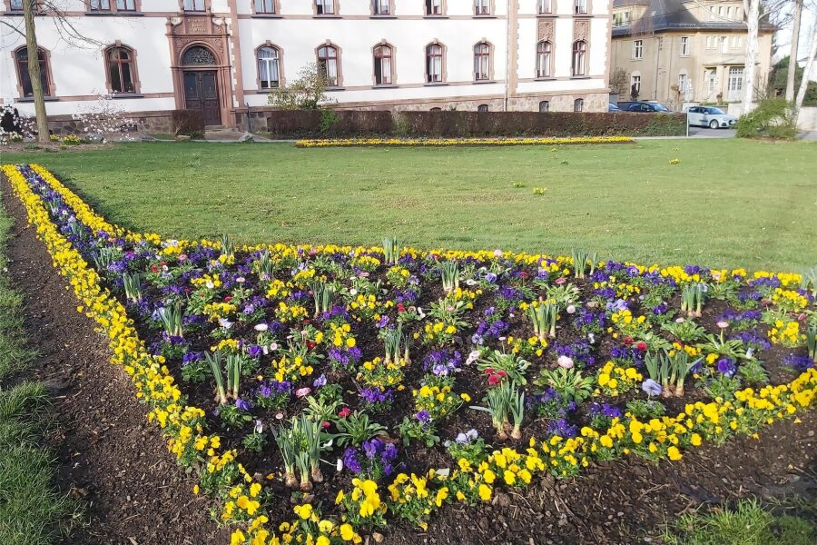 Glauchau: Bauhofmitarbeiter bringen Tausende Frühjahrspflanzen in die Erde - Auch die Schmuckbeete im Bürgerpark wurden neu bepflanzt.