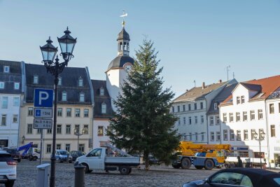 Glauchau: Der Weihnachtsbaum ist da - Am Dienstagvormittag wurde der Baum auf dem Glauchauer Marktplatz mit Hilfe eines Krans aufgestellt.