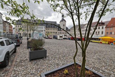 Glauchauer Marktplatz bekommt plötzlich Bäume - Am Glauchauer Markt sind in riesigen Kübeln Felsenbirnen gepflanzt worden.