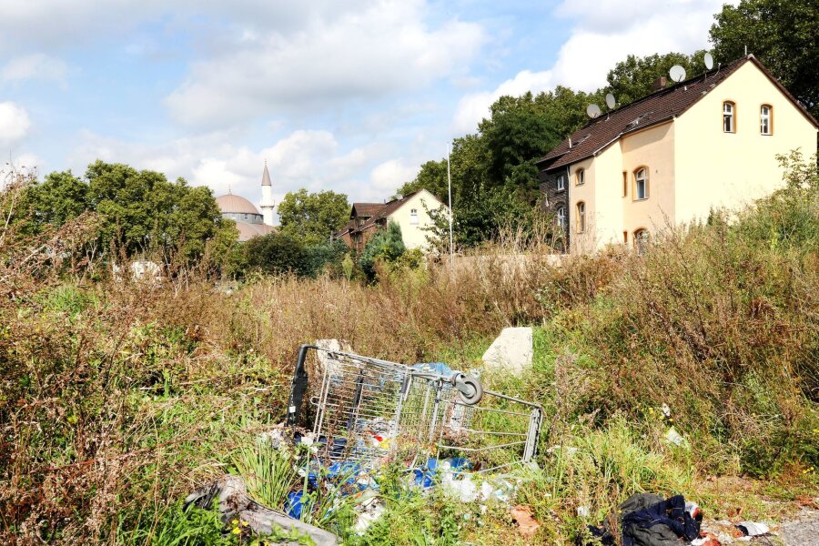 Gleichwertige Lebensverhältnisse: Unterschiede nehmen ab - Müll auf einer Grünfläche in Duisburg-Marxloh (Archivbild)