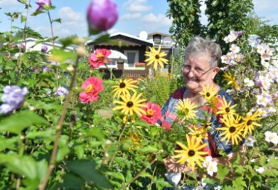 "Glück auf" macht Lust auf's Gärtnern - Sieglinde Paust ist seit dem 11. Juli 2021 neue Vorsitzende des Gartenvereins "Glück auf" in Brand-Erbisdorf.