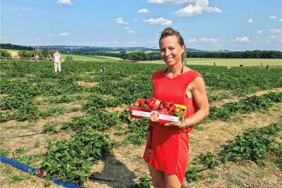 Glücks-Erdbeere auf Feld in Oberlichtenau gefunden - Bianca Scholz ist die Chefin des Fruchthofes Hammer, der das Erdbeerfeld in Oberlichtenau betreibt.