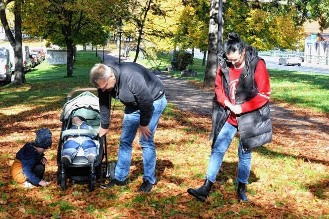 Goldener Herbst lockt die Kastaniensammler heraus - Am Meißner Ring sammelte Familie Peter und Romy Helbig mit ihren Enkeln Fritz (4) und Emil (1) Kastanien. 