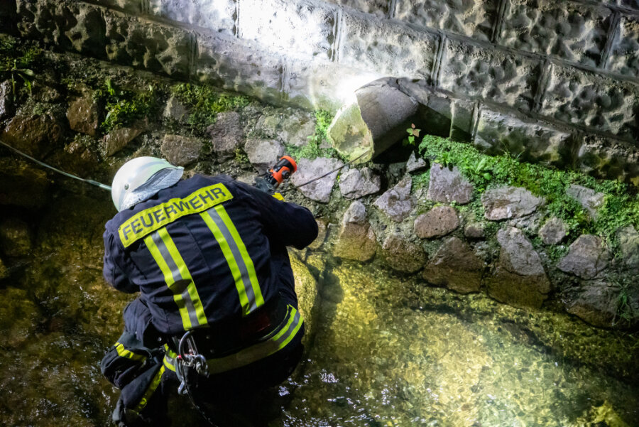 Gornsdorf: Feuerwehr rettet Katze aus Abwasserohr - 