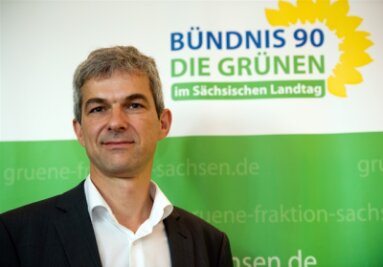 Grünen-Parteirat gegen Koalition mit der CDU in Sachsen - 