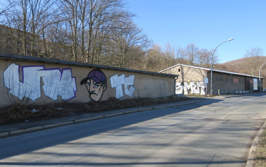 Graffitisprayer in Aue scheitert mit Fluchtversuch durch die Mulde - Die mutmaßlichen Sprayer hinterließen ein gut 25 Quadratmeter großes Gaffito an einem Garagenkomplex in Aue.