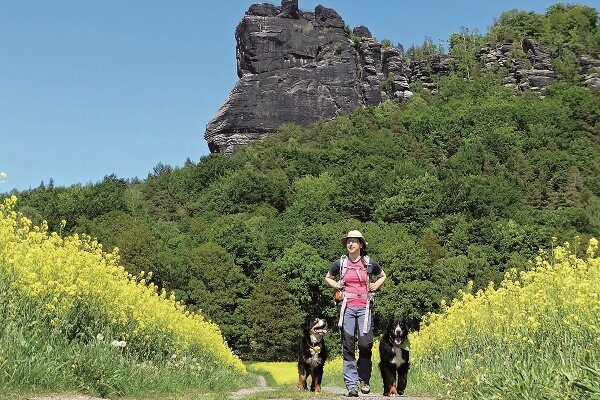 Franziska Rößner genießt Touren durchs Elbsandsteingebirge. Auf dem Weg vom Lilienstein zur Fähre nach Königstein dürfen ihre Hündinnen Vreni und Gusti für das Foto ausnahmsweise von der Leine.