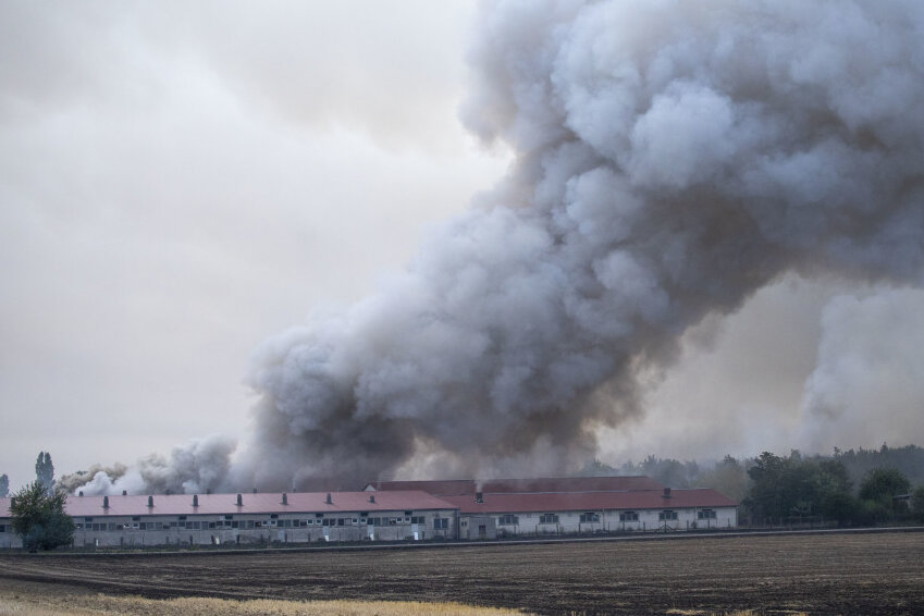 Großbrand beschäftigt Einsatzkräfte an der Grenze von Brandenburg und Sachsen - Auch eine Schweinemast-Anlage stand in Flammen.
