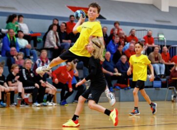 Große Kulisse für kleine Handballer - 