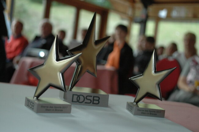 "Großer Stern des Sports" in Bronze geht an Hainichener Karate Club - Die "Sterne des Sports" in Bronze sind am Dienstagabend in Kriebstein verliehen worden.