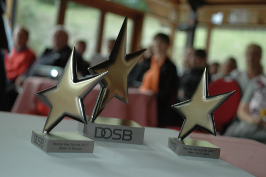 Die "Sterne des Sports" in Bronze sind am Dienstagabend in Kriebstein verliehen worden.