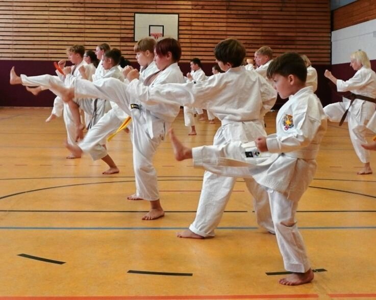 Großer Tag für Thurmer Karateka - Für die Thurmer Nachwuchssportler gab es unter der Anleitung von Sven Hensel viel zu lernen. 