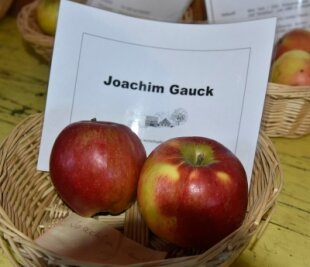 Großer Zuspruch für Kernobstmesse auf dem Riedelhof - Drei neue Apfelsorten - 