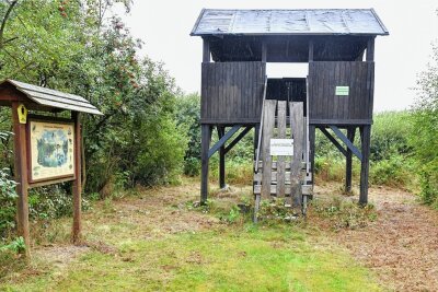 Großhartmannsdorf: Wie Beobachtungen der Natur weiter möglich werden - Am Mittwoch dieser Woche stand noch der alte gesperrte Beobachtungsstand am Teich, er soll nun abgerissen werden. 