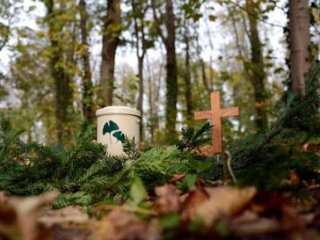 Grüne stellen Antrag auf Bestattungswald - 