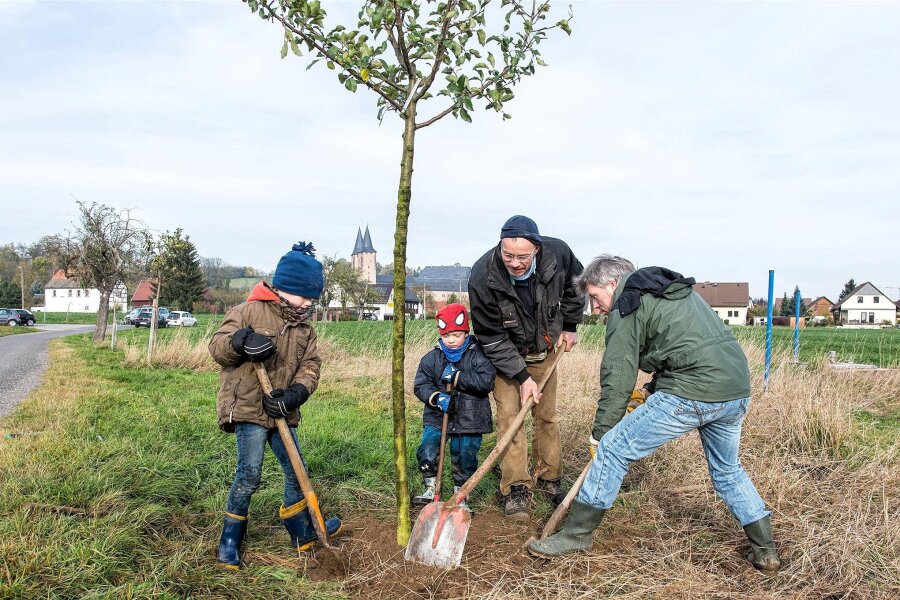 Grüner Stammtisch Rochlitz: Wo Bäume gepflanzt werden sollen - An der Straße von Zaßnitz nach Biesern wurden vor einigen Jahren Obstbäume gepflanzt. Diese sollen nun beschnitten werden.