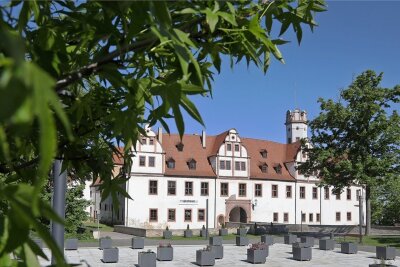 Grünpflege mit speziellen Problemen - Die Kübel am Glauchauer Schlossvorplatz sind neu bestückt worden. Doch noch sind einige leer.