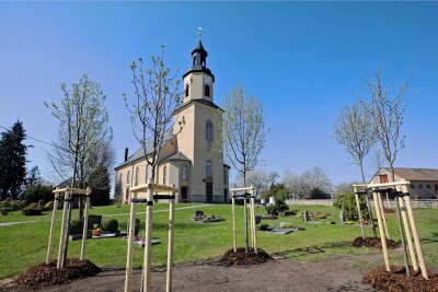 Grumbacher Friedhof wird zum Naturparadies - Neupflanzungen auf dem Grumbacher Friedhof: Blühbäume für Insekten und die Fledermäuse im Kirchturm 