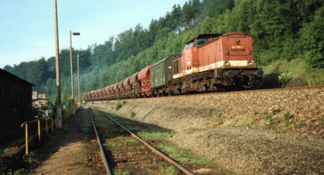 Das Foto zeigt die Gleistrasse bei Buchholz mit einem Güterzug. Ein solcher ist dort am 14. Mai 1981 auf dem unteren Gleis mit hoher Geschwindigkeit durchgerauscht. 