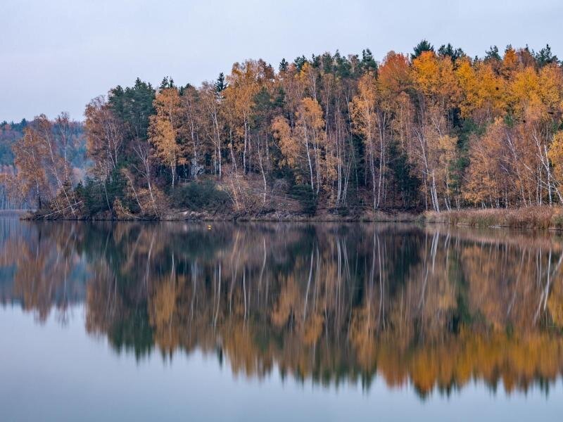 Gute Noten für Sachsens Badeseen -             Herbstlich gefärbte Bäume spiegeln sich im Abendlicht im Knappensee.