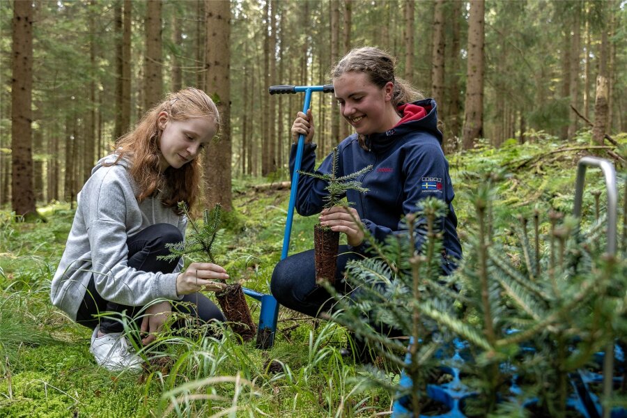 Gymnasiasten aus Rodewisch pflanzen Bäume am Waldpark - Sonja (links) und Leni haben mit anderen Gymnasiasten am Freitag Bäume gepflanzt.