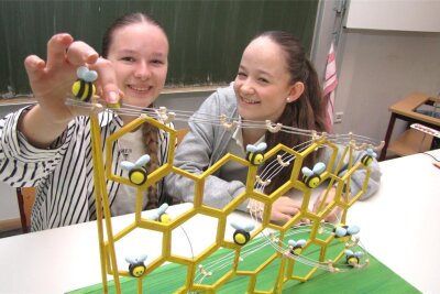 Gymnasium Hartha: Tüftlerinnen räumen Preis ab - Noemi Marie Saga (l.) und Luzie Dalchow sind stolz auf ihr Modell „Chaos im Bienenstock“, das den Tüftlerinnen einen dritten Platz einbrachte.