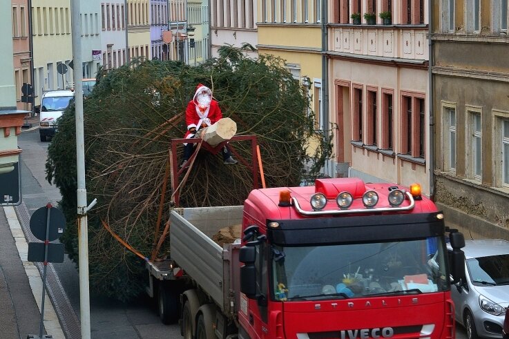 Hainichen zieht nach: Alle Bäume sind schon da - Der Weihnachtsbaum auf der Gellertstraße unterwegs zum Markt in Hainichen. Oben sitzt als Weihnachtsmann Thomas Großer. 