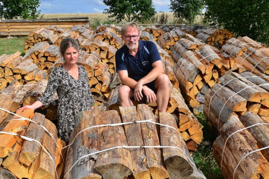 Das ist der Holzvorrat, den Anja und Lutz Hoffmann für die Schwimmschule Hoffmann in Sachsenburg schon angelegt haben. Der Vertrag mit dem Gasanbieter ist gekündigt, geheizt wird nun wieder mit dem Holzvergaser.