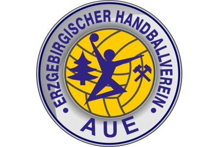 Handball: Aue verliert gegen Bietigheim mit 30:36 - 