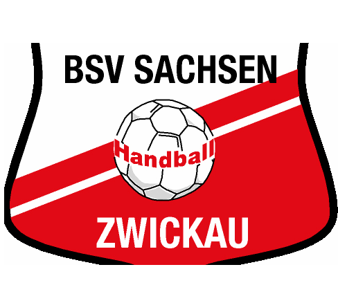Handball: BSV gewinnt gegen TG Nürtingen - 