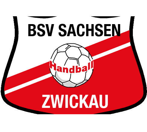 Handball: BSV Sachsen schlägt Neckarsulm - 