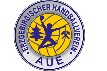 Handball: EHV Aue verliert gegen Hamm-Westfalen - 