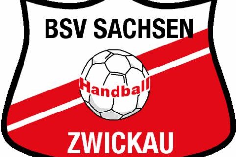 Handball: Trainer der Damen des BSV Zwickau macht sich Sorgen 