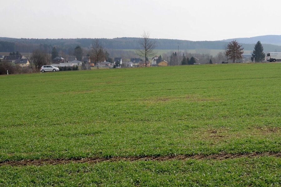 Diese bisher landwirtschaftlich genutzte Fläche an der Perlaser Straße von Treuen soll Standort eines Einkaufszentrums werden.