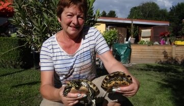 Happyend für Schildkröten und Familie - Gabriele Bergler hat beide Schildkröten wieder. 