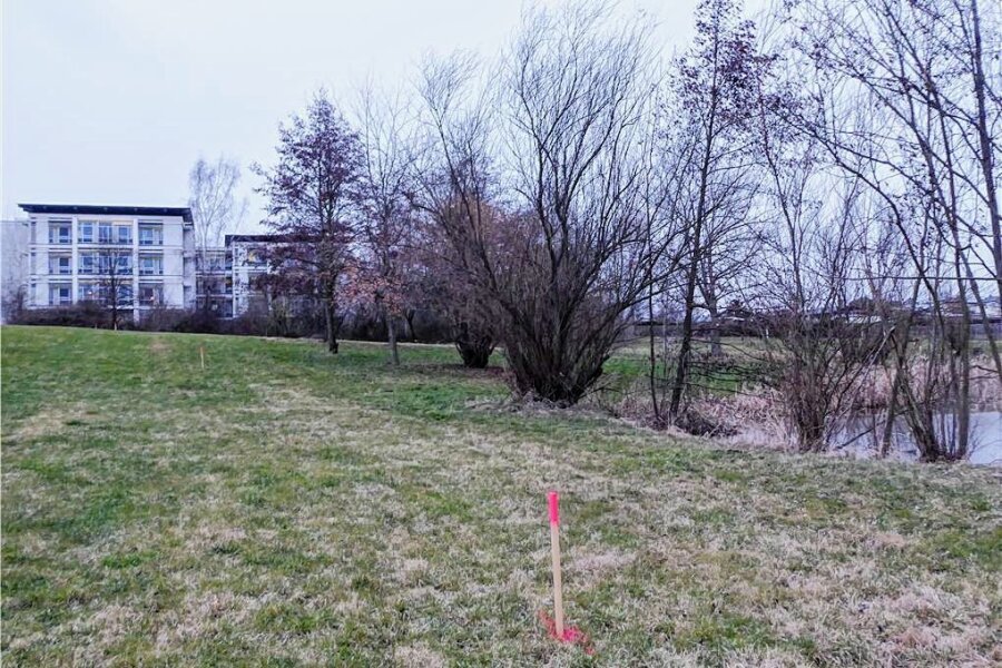 Hartmannsdorf lässt 87 neue Bäume pflanzen - Ein Wiesenstück zwischen dem Krankenhaus und Teich ist bereits abgesteckt. Dort sollen 28 Obstbäume Platz finden. 