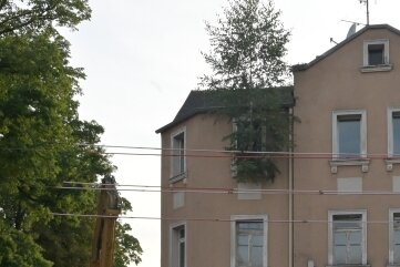 "Haus mit Birke" gibt es bald nicht mehr - Das "Haus mit Birke" in der Hohensteiner Straße in Lugau wird abgerissen. 